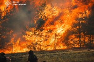 Фото: ГСЧС Донецкой области