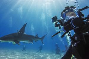 Аксессуары к камерам Go Pro 10 для любителей подводного плавания