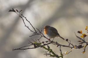 прогноз погоды по Украине