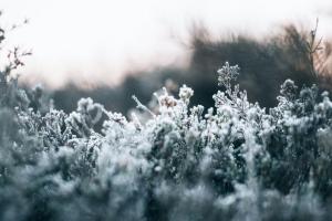 прогноз погоды в Украине на декабрь