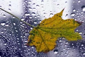 прогноз погоды по Украине