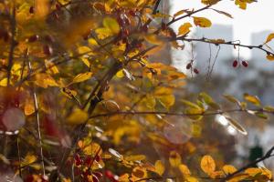 прогноз погоды по Украине