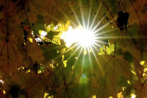 прогноз погоды по Украине