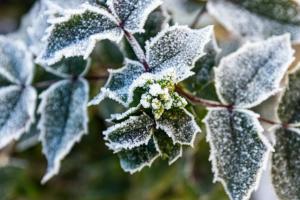 прогноз погоды по Украине