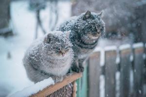 прогноз погоды по Украине