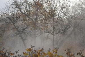 прогноз погоди по Україні