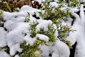 прогноз погоды по Украине