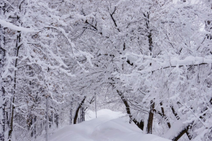 прогноз погоды по Украине