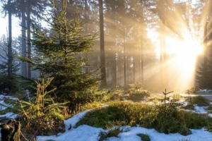 прогноз погоды по Украине