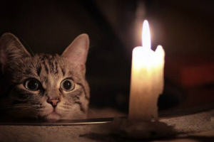 отключение света