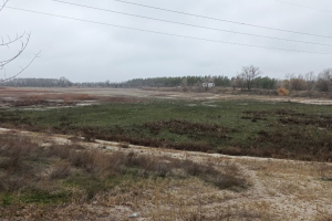 Чистое озеро