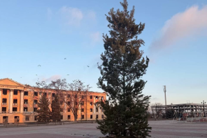 елка в Лисичанске