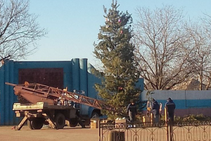 елка в Лисичанске