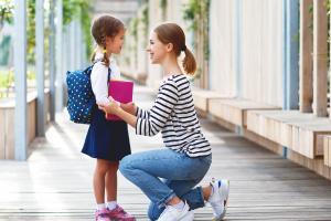 какие предметы нельзя приносить в школу