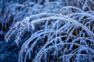 прогноз погоды по Украине