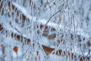 погода в Украине в феврале