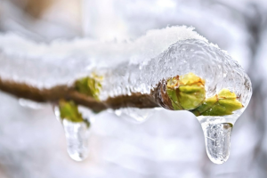 прогноз погоди по Україні