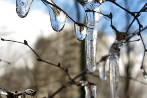 прогноз погоды по Украине