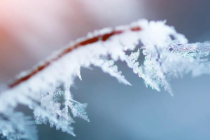 прогноз погоды по Украине