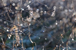 прогноз погоды по Украине