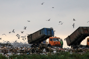 мусорная свалка