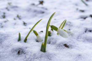 прогноз погоды по Украине