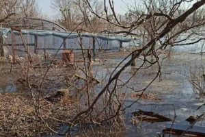 наводнение