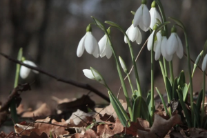 прогноз погоды по Украине