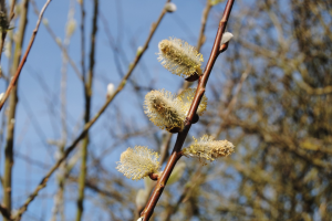 прогноз погоды по Украине