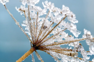 прогноз погоды по Украине