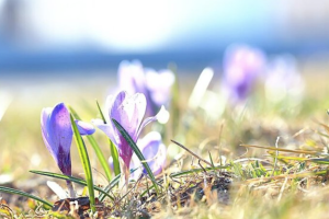 прогноз погоды в Украине