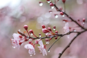 прогноз погоды по Украине