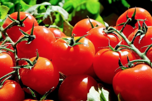 помидоры