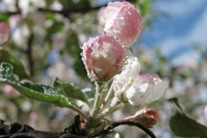 прогноз погоды по Украине