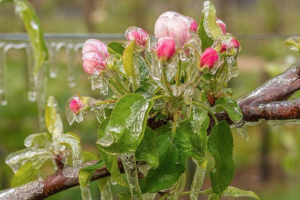 прогноз погоды по Украине