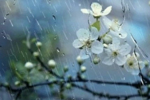 прогноз погоды по Украине