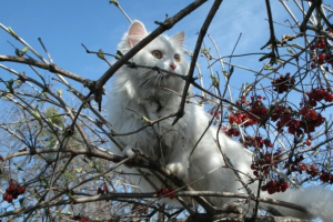 прогноз погоды по Украине