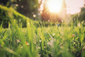 прогноз погоды по Украине