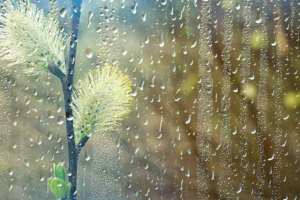 прогноз погоды по Украине