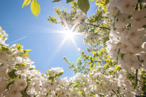 потепление