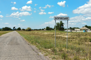 Боровское