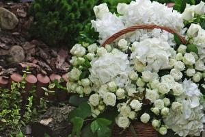 квіти з доставкою в Києві