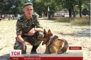 На Донбасс отправят "отряд" собак, которые будут искать мины террористов