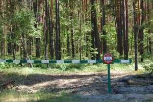 На Житомирщине запретили посещать леса 