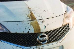 Первый в мире "самоочищающийся" автомобиль от NISSAN