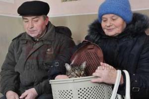 Луганским ветеринарам привозят вакцину коллеги