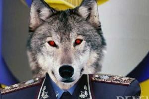 В Волновахе задержали закарпатского псевдогенерала
