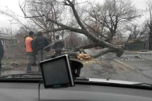 Водоснабжение в Горловке восстановлено - последствия урагана
