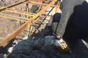 В Станице Луганской установили пешую переправу через взорванный мост