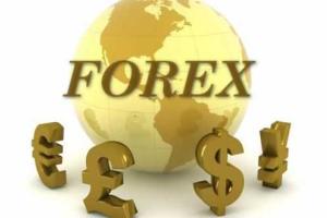 Форекс: советы прибыльной торговли для новичков